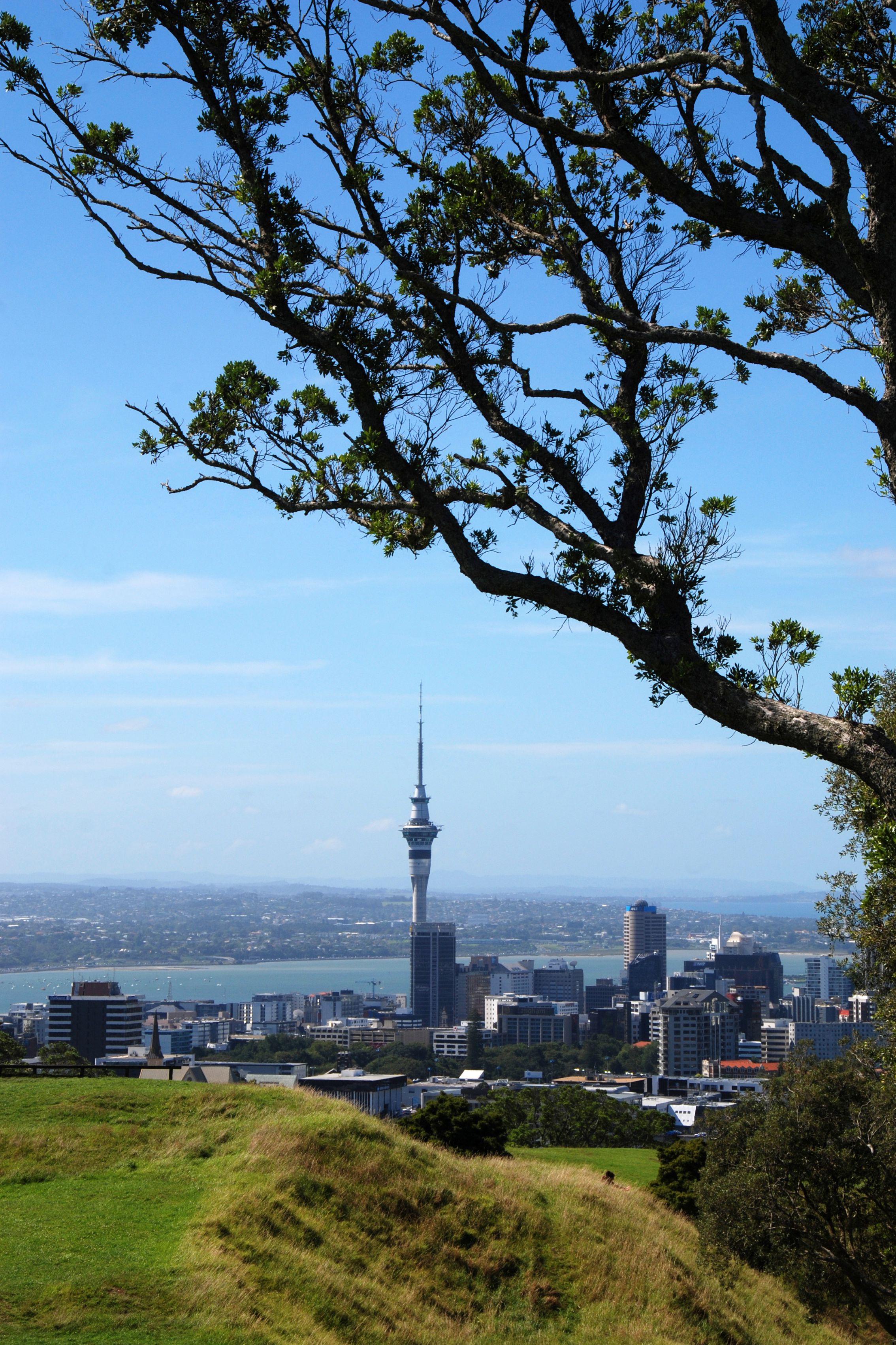 A Day In Auckland — photo 3