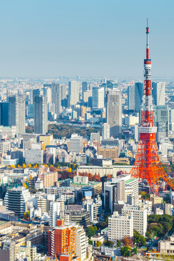 Tokyo in a Day — photo 3