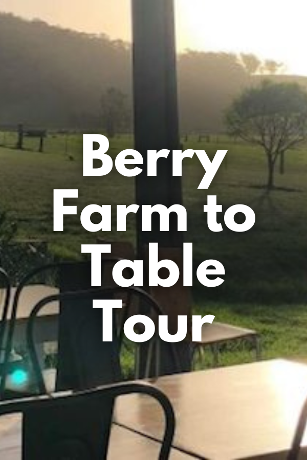 Berry Farm to Table Tour 