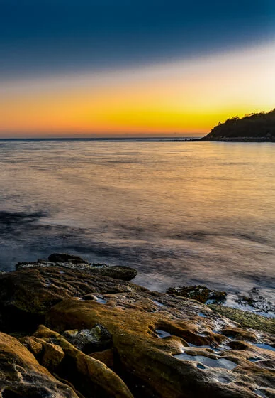 Manly Nature Hike — photo 4