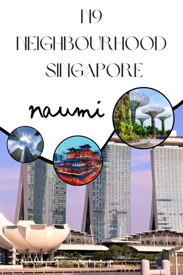 N9 Neighbourhood - Singapore: Your Handpicked Journey Through the Lion City's Finest
