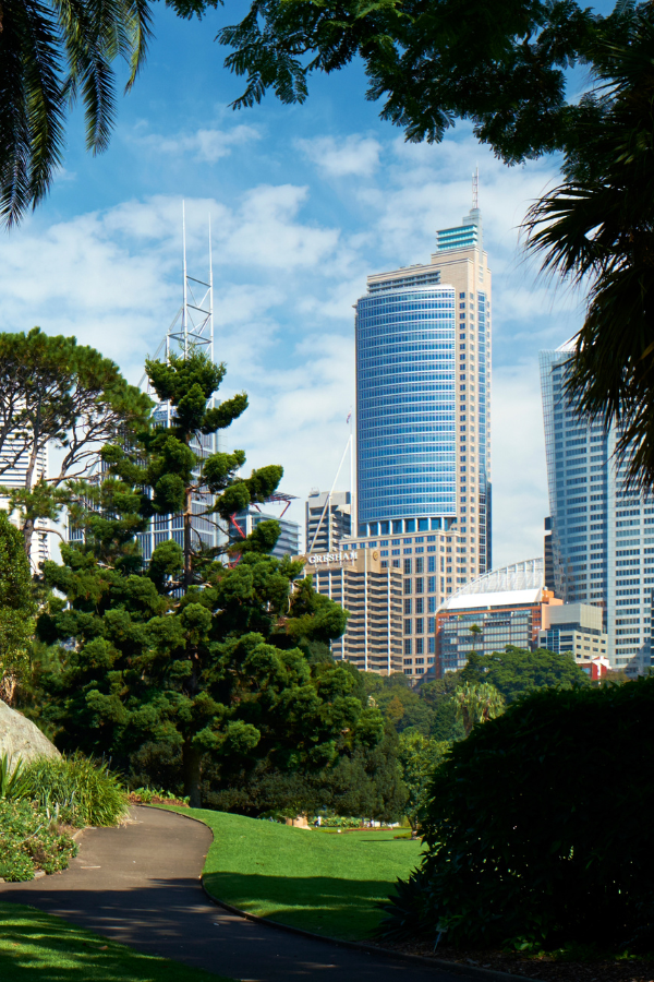 Explore the rocks and circular Quay in a day — photo 4