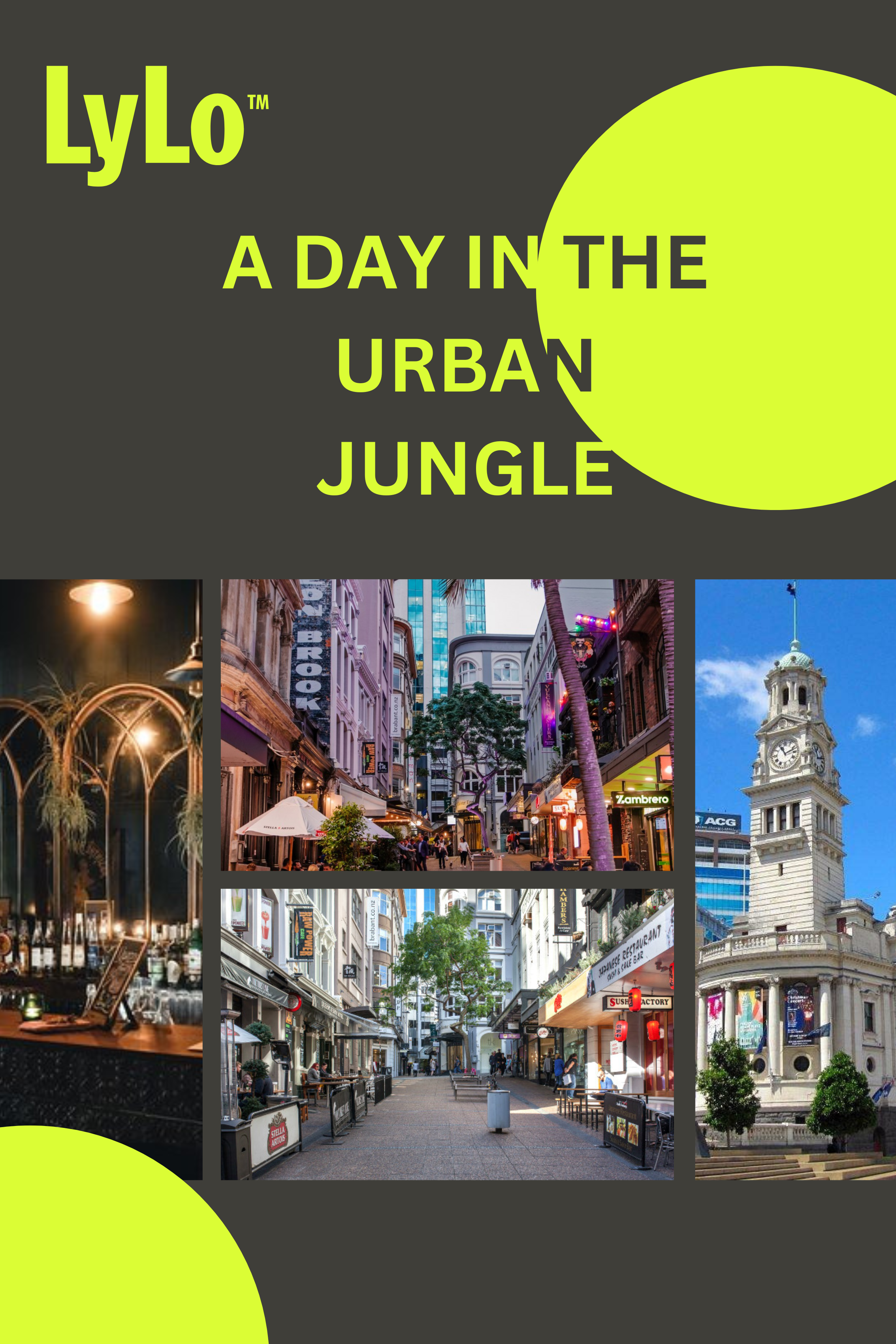 A Day In the Urban Jungle with LyLo!