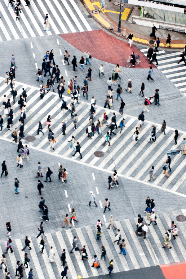 Shibuya in a Day — photo 2