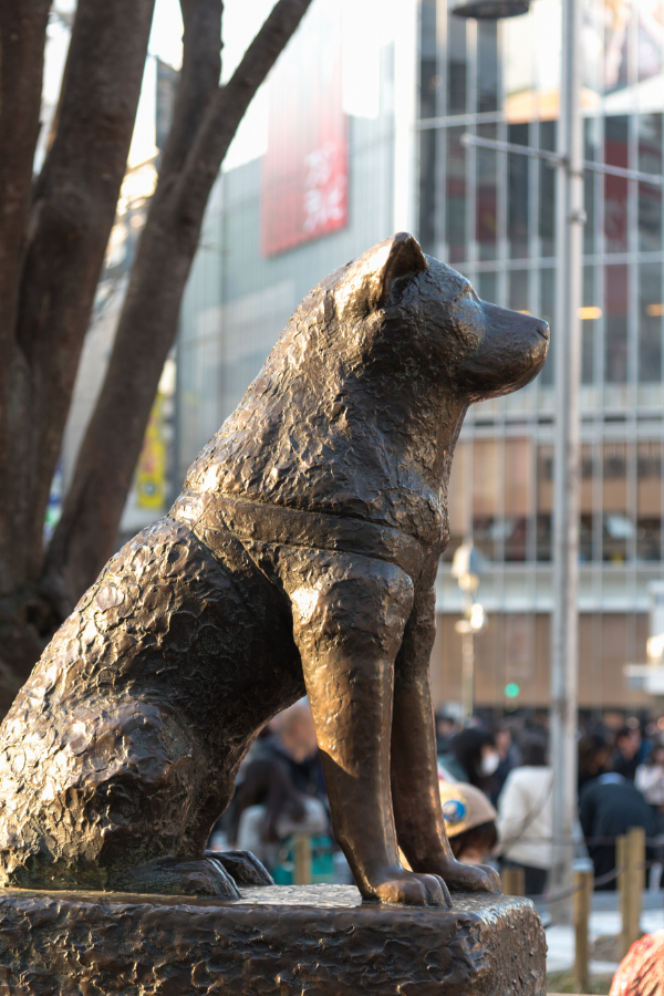 Shibuya in a Day — photo 3