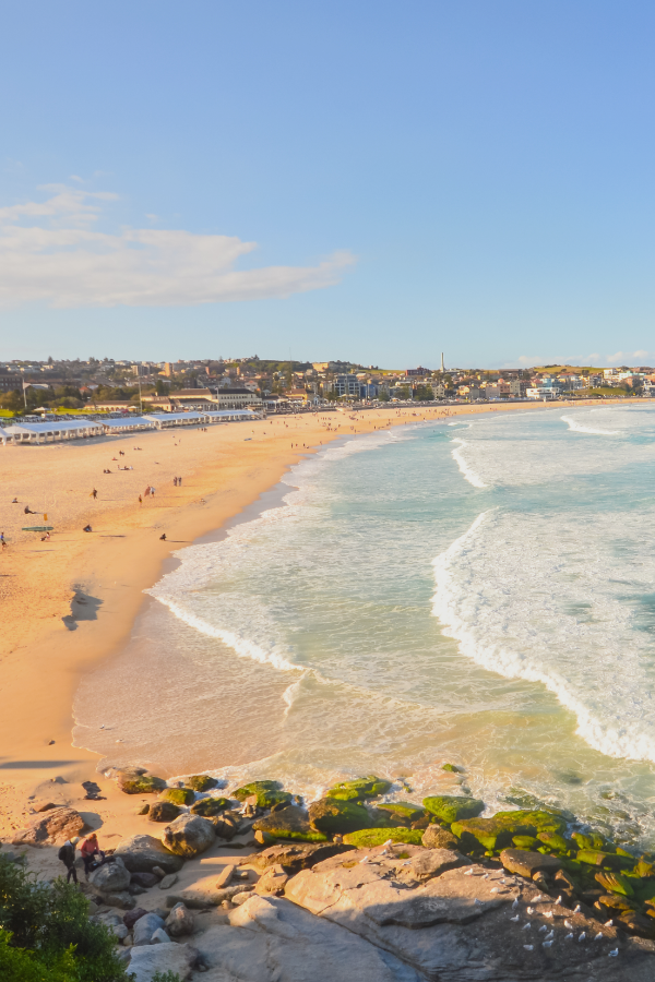 Bondi In a Day