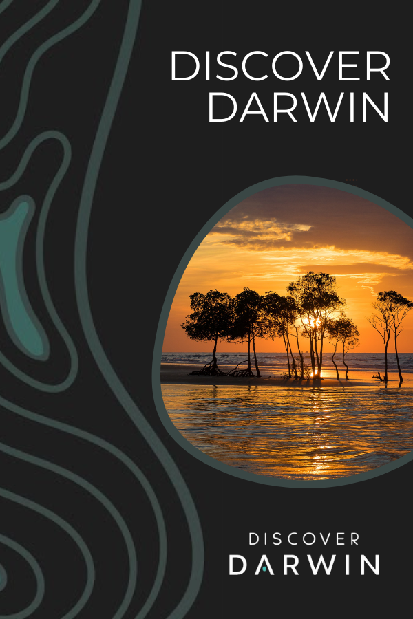Discover Darwin