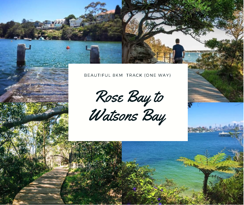 Rose Bay to Watsons Bay 