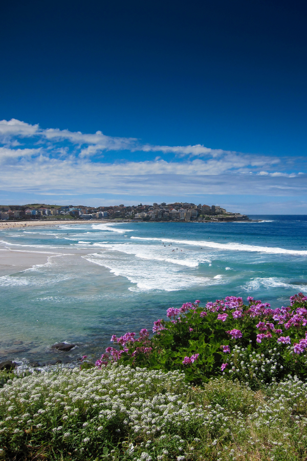Bondi to Coogee — photo 4
