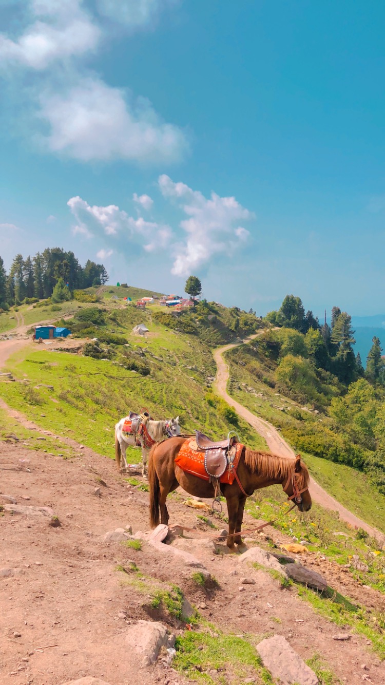 Siri Paye Meadows, Pakistan — photo 3