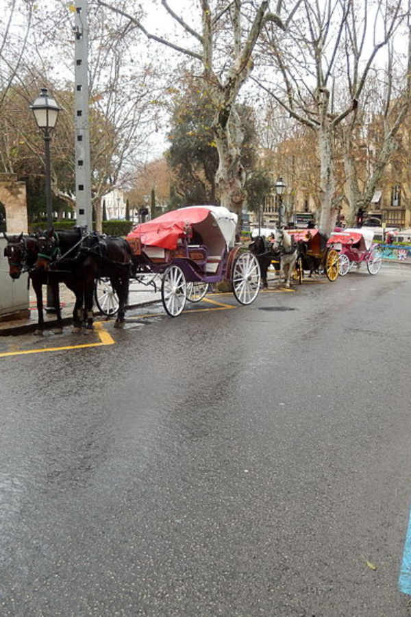 Fun & Unusual Things to Do in Palma, Spain — photo 3