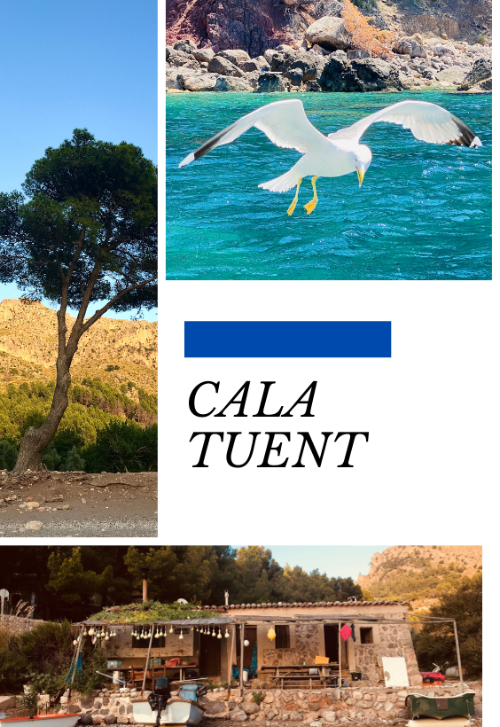 Mallorca, Serra de Tramuntana — photo 3