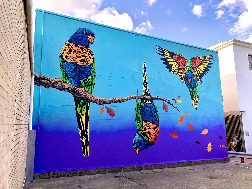 Armidale Street Art Tour — photo 2