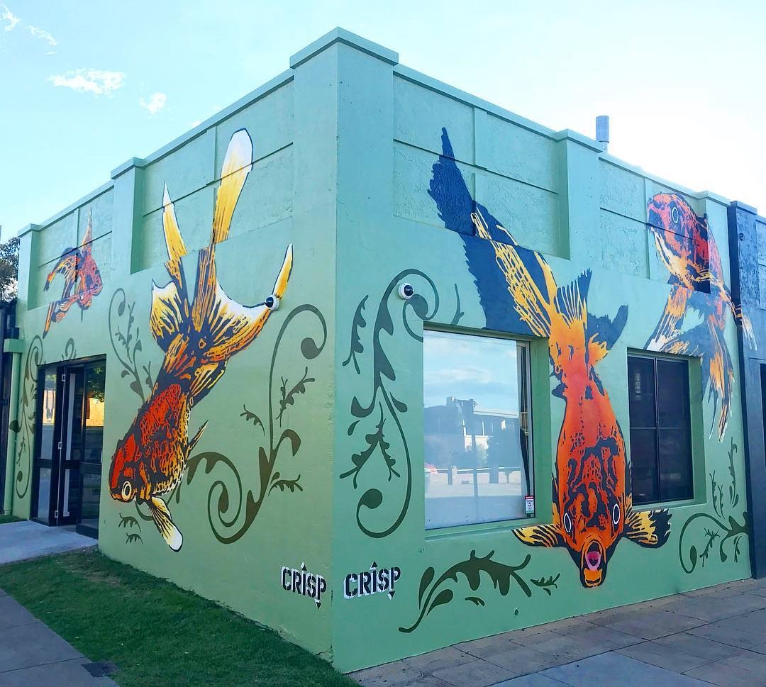 Armidale Street Art Tour — photo 4