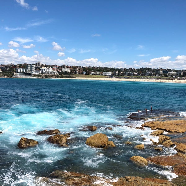 Explore Bondi — photo 7