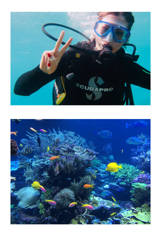 6 Things To Do In Cairns — photo 3