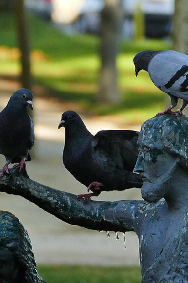Fun & Unusual Things to Do in Porto, Portugal — photo 4