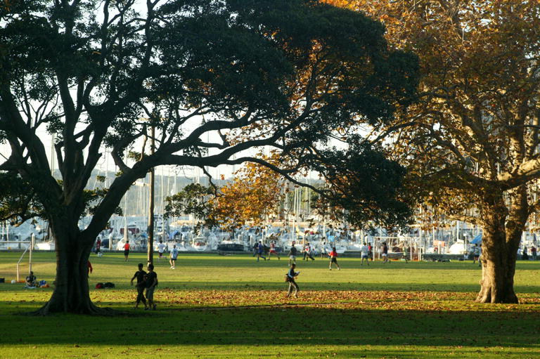 Average Run to Rushcutters Bay — photo 7