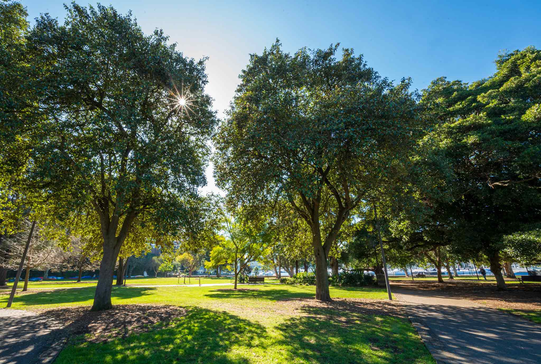 Average Run to Rushcutters Bay — photo 5