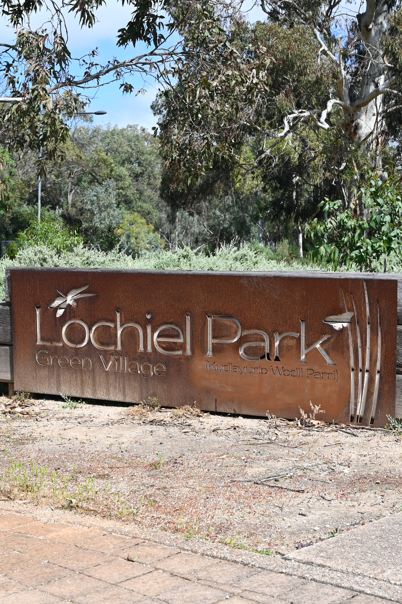 Lochiel Park Exploration