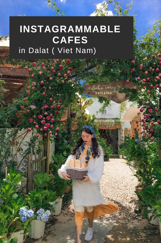 Instagrammable cafes in Dalat - Viet Nam