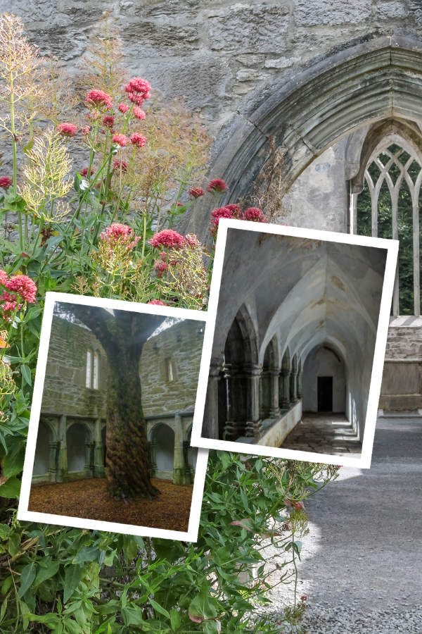 Explore Killarney, Ireland - led by the locals — photo 2