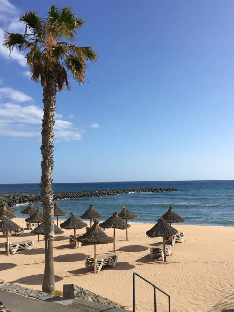 A Day in Tenerife — photo 4