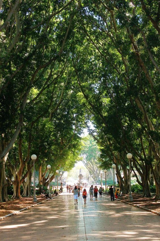 Two days in Sydney, a perfect itinerary — photo 2