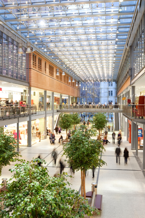 Luxury Shopping — photo 3