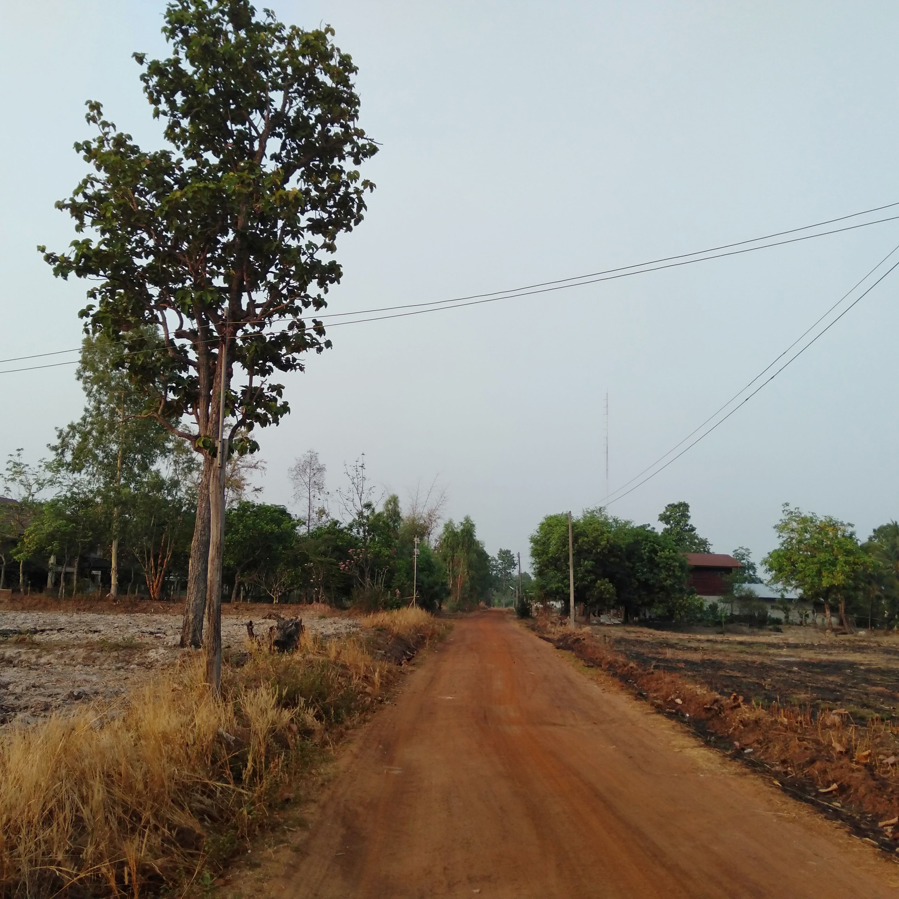 Unreal Ubon: Provincial Perousing — photo 3