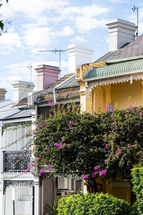 Paddington Walking Tour