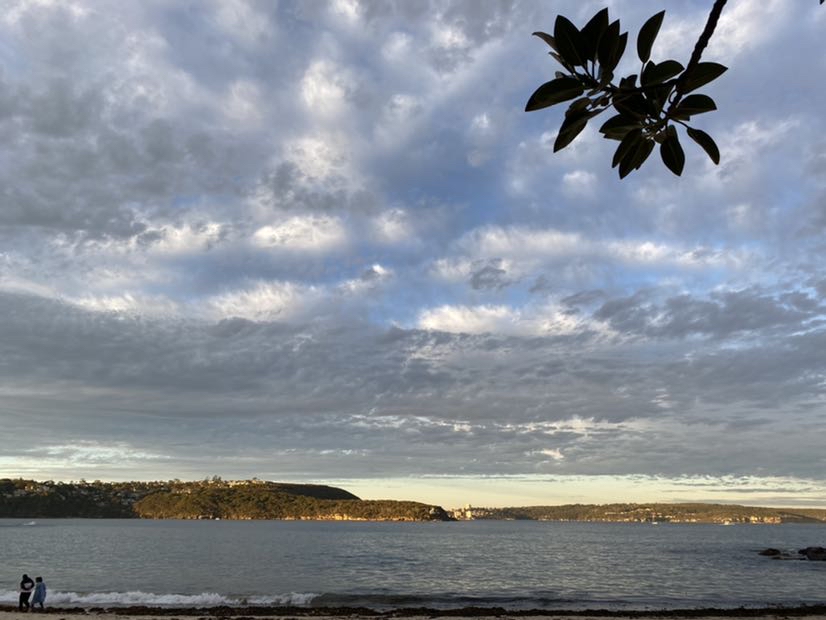 Experience the calm waters of Balmoral Beach