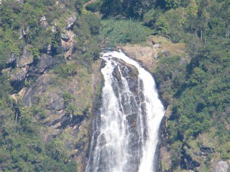 A DAY IN NILGIRIS — photo 3