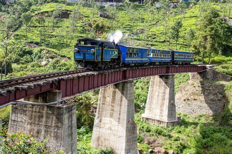 A DAY IN NILGIRIS — photo 2