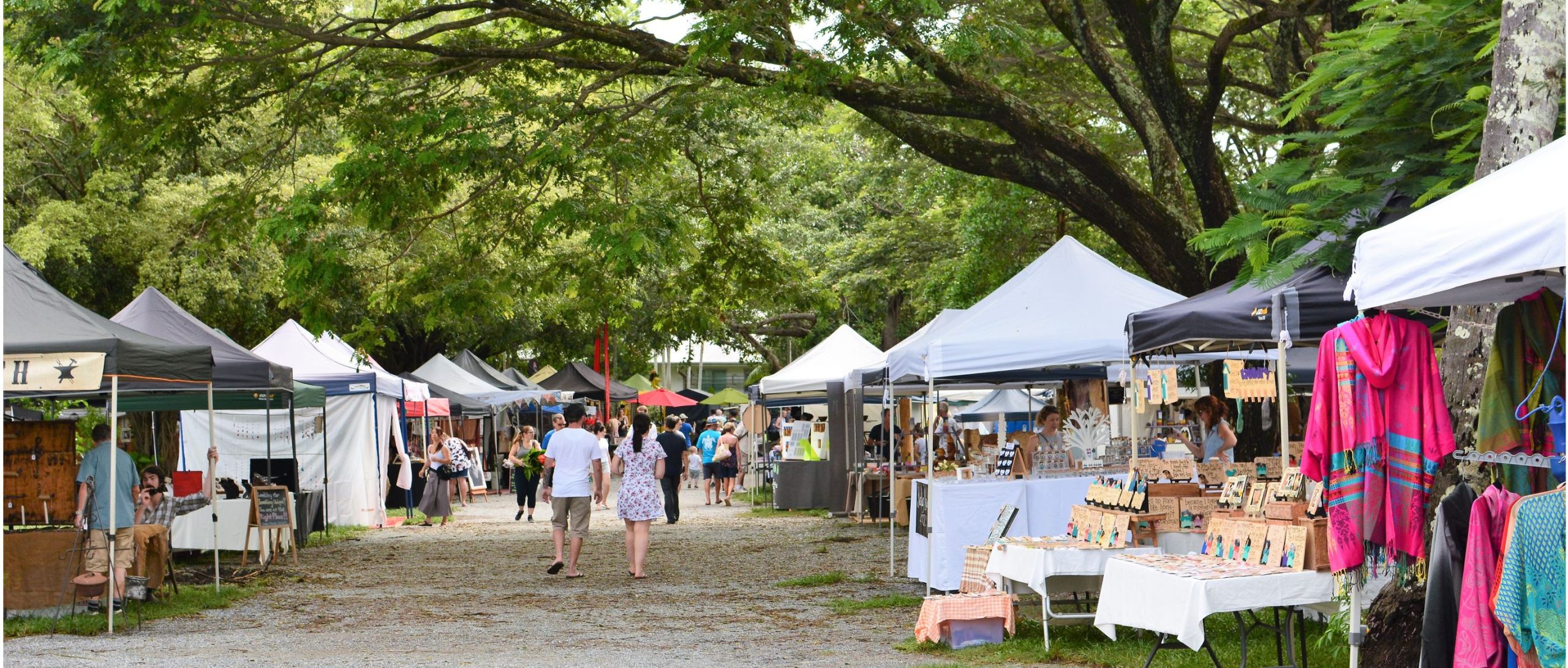 Explore Port Douglas Self-Drive Tour — photo 6