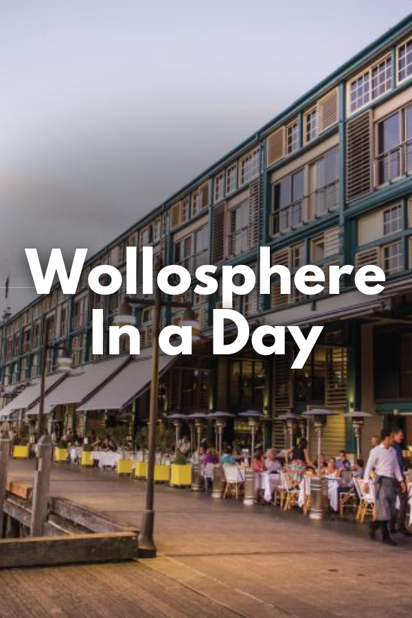 Woollosphere in a Day