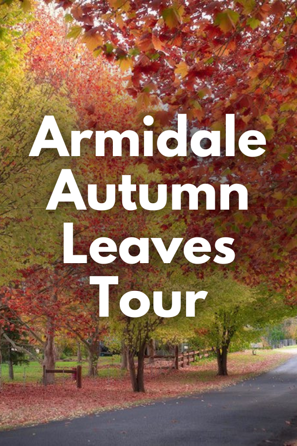 Armidale Autumn Leaves Tour 