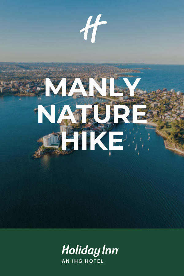 Manly Nature Hike