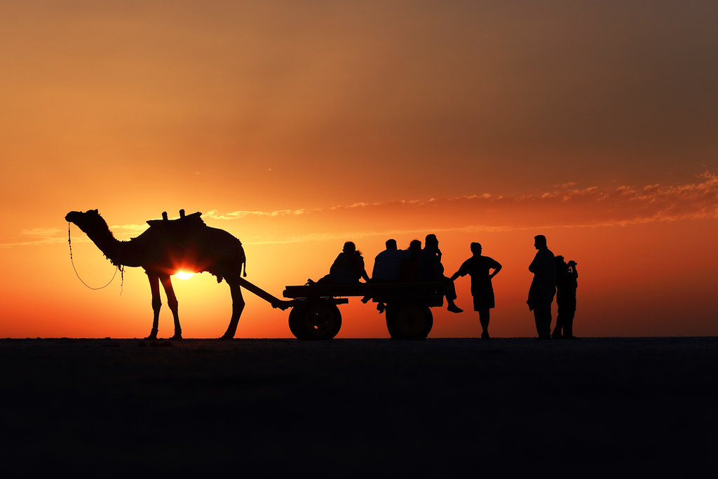 Top Attractions  to Visit in Gujarat — photo 3