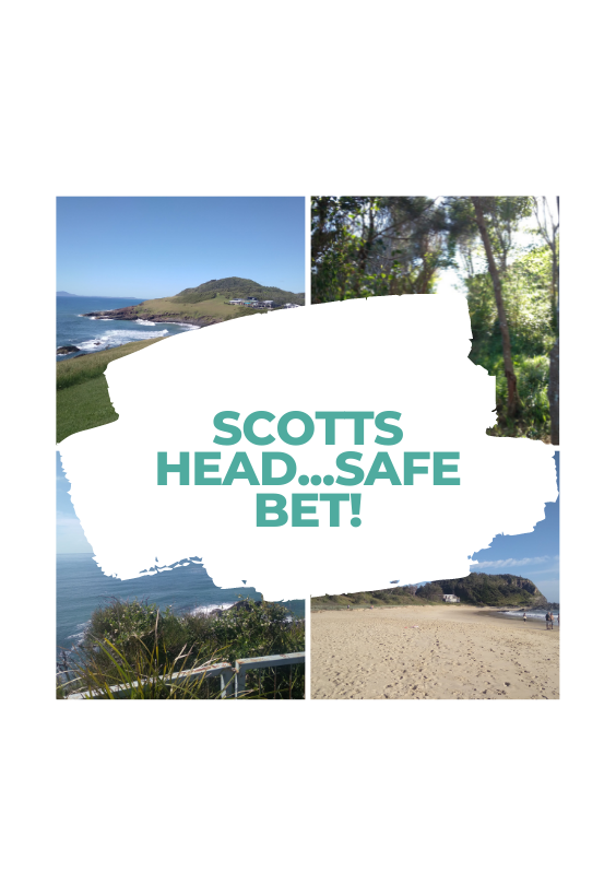 Scotts Head...Safe Bet!