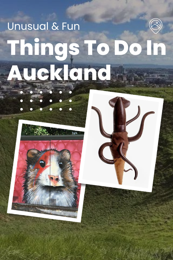 Fun & Unusual Things to do in Auckland