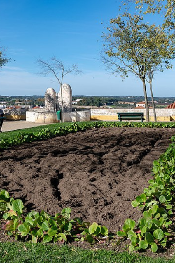 Fun & Unusual Things to Do in Evora, Portugal — photo 5