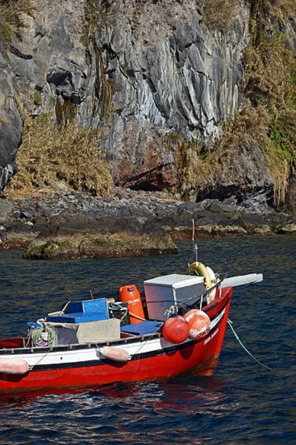Fun & Unusual Things to Do in Madeira, Portugal — photo 3
