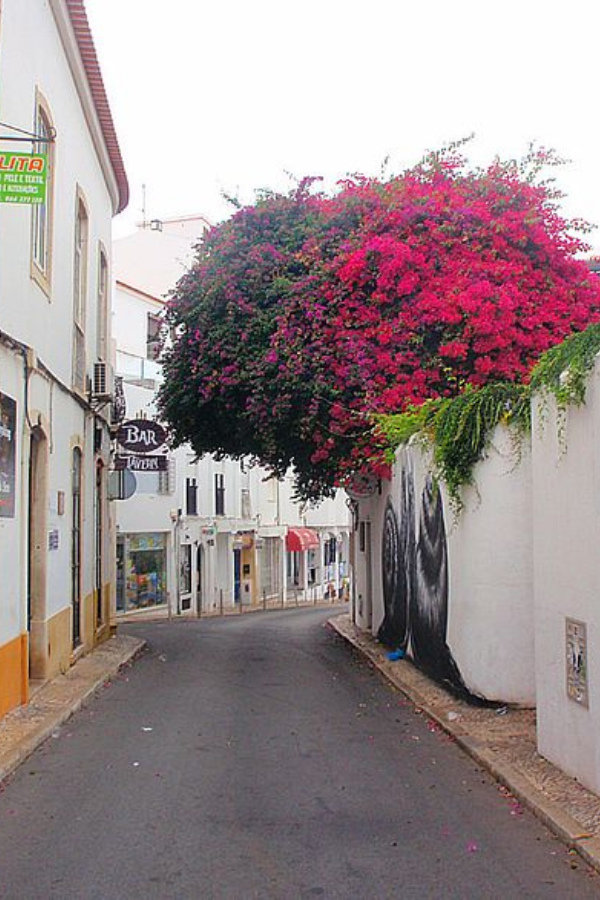 Fun & Unusual Things to Do in Lagos, Portugal — photo 2