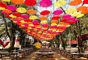 Holambra ( cidade das flores ) — photo 2