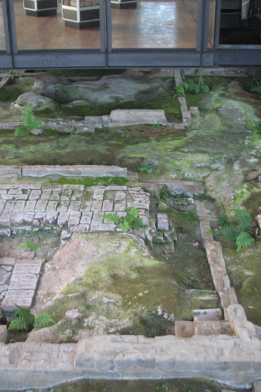 History and Culture Tour
