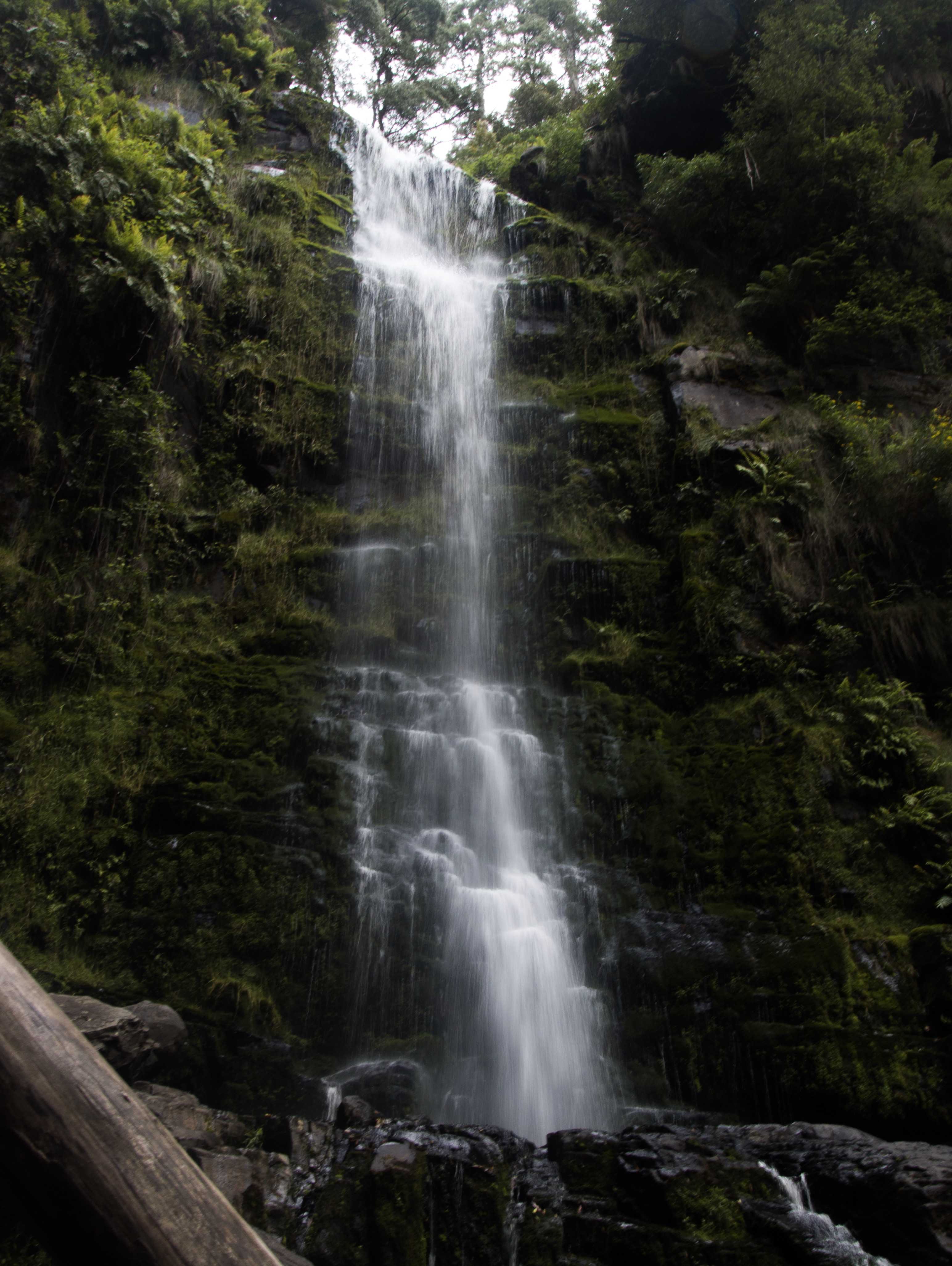 Erskine Falls at Otway National park