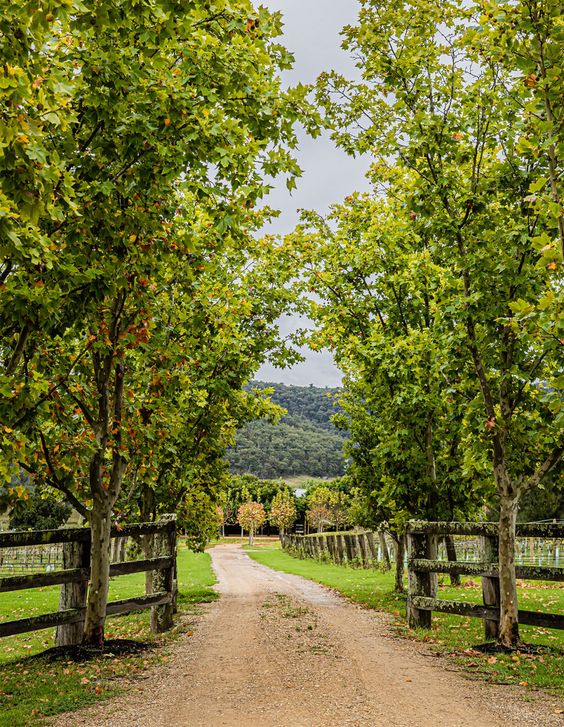 Things to do in Hunter Valley