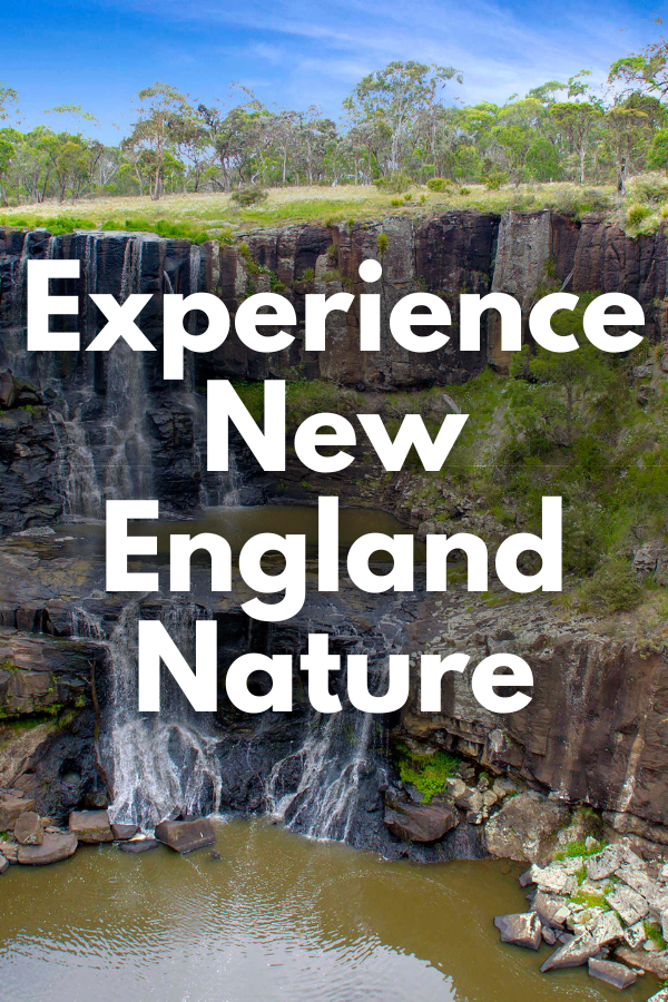 Experience New England Nature 