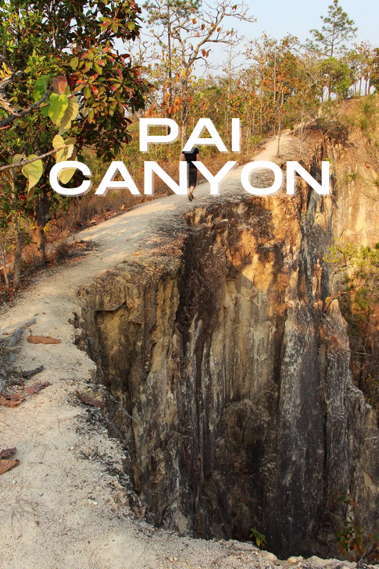 Pai Canyon - Coffee In Love day tour - [Thailand]